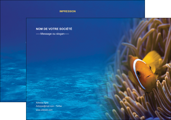 imprimer flyers paysage belle photo nemo poisson MLGI33458