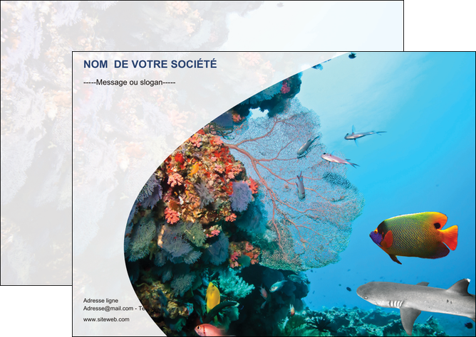 cree flyers chasse et peche plongeur corail poissons MIDBE33876