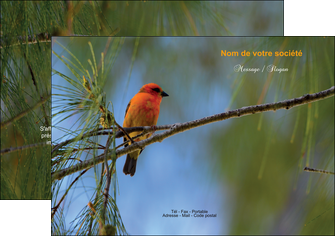 exemple flyers paysage nature parc naturel animaux parc naturel des oiseaux MLGI34260
