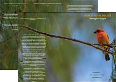 exemple depliant 3 volets  6 pages  paysage nature parc naturel animaux parc naturel des oiseaux MLGI34262