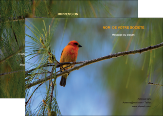 faire flyers paysage nature parc naturel animaux parc naturel des oiseaux MLGI34264