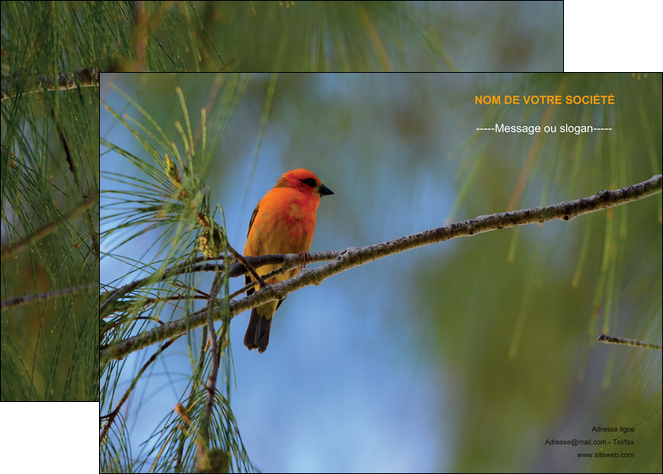 maquette en ligne a personnaliser affiche paysage nature parc naturel animaux parc naturel des oiseaux MIDBE34266