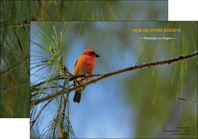 cree affiche paysage nature parc naturel animaux parc naturel des oiseaux MIDBE34268
