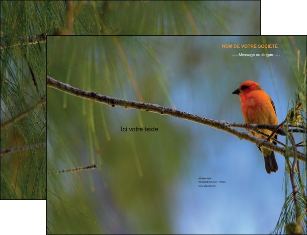 modele pochette a rabat paysage nature parc naturel animaux parc naturel des oiseaux MIDBE34278