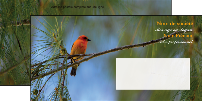 personnaliser modele de enveloppe paysage nature parc naturel animaux parc naturel des oiseaux MIDBE34284
