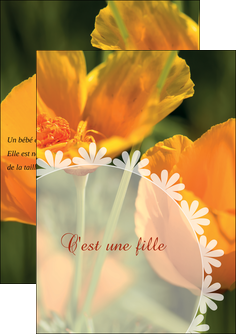 imprimerie flyers faire part de naissance carte de naissance carte pour naissance MIDBE34398