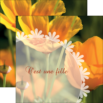 personnaliser modele de flyers faire part de naissance carte de naissance carte pour naissance MIDBE34400