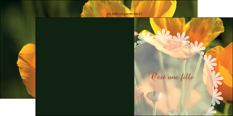 modele depliant 2 volets  4 pages  faire part de naissance carte de naissance carte pour naissance MIDBE34402