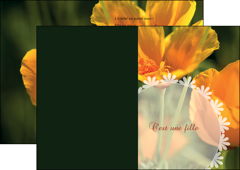 exemple depliant 2 volets  4 pages  faire part de naissance carte de naissance carte pour naissance MIDBE34404