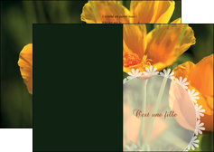exemple depliant 2 volets  4 pages  faire part de naissance carte de naissance carte pour naissance MIDBE34404