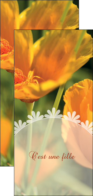 cree flyers faire part de naissance carte de naissance carte pour naissance MIDBE34406