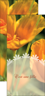 cree flyers faire part de naissance carte de naissance carte pour naissance MIDBE34406