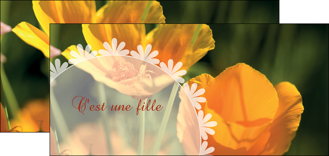 faire flyers faire part de naissance carte de naissance carte pour naissance MIDBE34408