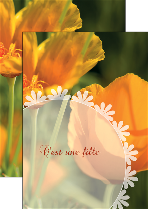 faire modele a imprimer flyers faire part de naissance carte de naissance carte pour naissance MIDBE34410