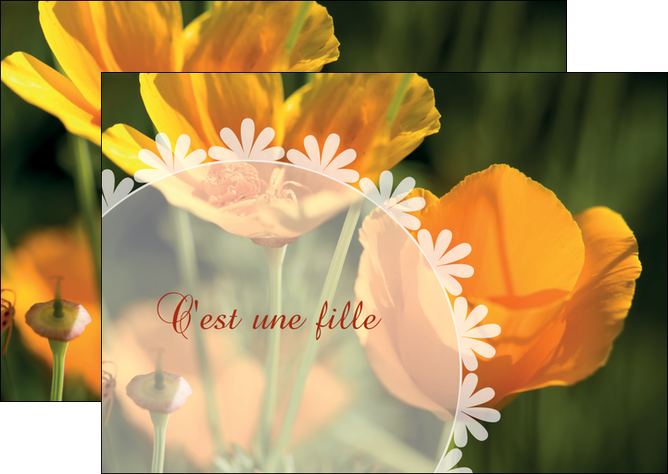 cree flyers faire part de naissance carte de naissance carte pour naissance MIDBE34412