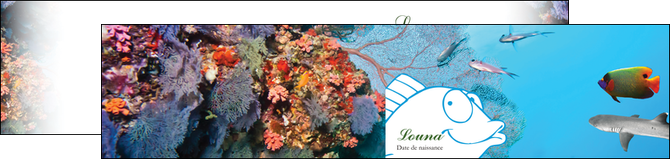 imprimerie depliant 2 volets  4 pages  chasse et peche plongeur corail poissons MIDBE34426