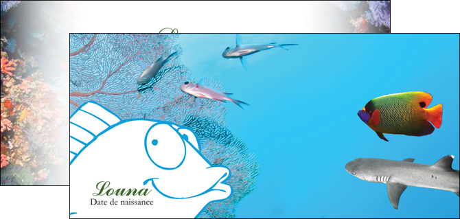 cree flyers chasse et peche plongeur corail poissons MIDBE34432