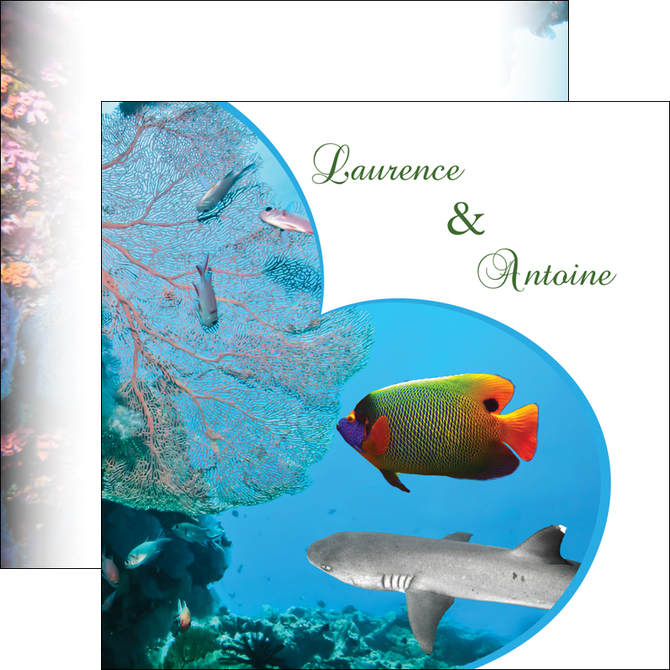 faire flyers chasse et peche plongeur corail poissons MIDBE34438