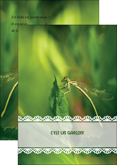personnaliser maquette flyers faire part de naissance carte pour naissance feuilles MIDBE34458