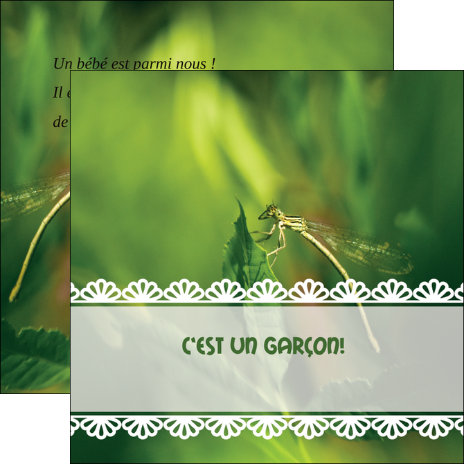 maquette en ligne a personnaliser flyers faire part de naissance carte pour naissance feuilles MIDBE34460
