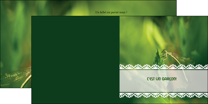 modele en ligne depliant 2 volets  4 pages  faire part de naissance carte pour naissance feuilles MIDBE34462