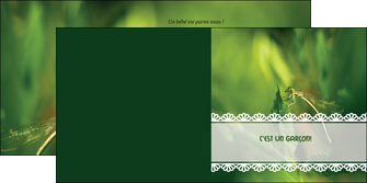 modele en ligne depliant 2 volets  4 pages  faire part de naissance carte pour naissance feuilles MIDBE34462