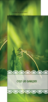 personnaliser maquette flyers faire part de naissance carte pour naissance feuilles MIDBE34466