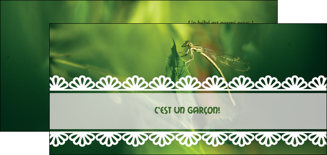 realiser flyers faire part de naissance carte pour naissance feuilles MIDBE34468