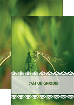personnaliser maquette flyers faire part de naissance carte pour naissance feuilles MIDBE34470