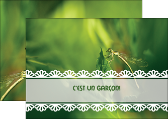 Impression Faire part  Faire Part de naissance devis d'imprimeur publicitaire professionnel Flyer A6 - Paysage (14,8x10,5 cm)