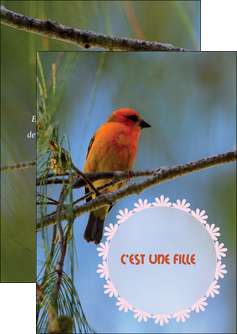 imprimerie flyers faire part de naissance carte de naissance modele de carte de naissance MIDBE34514