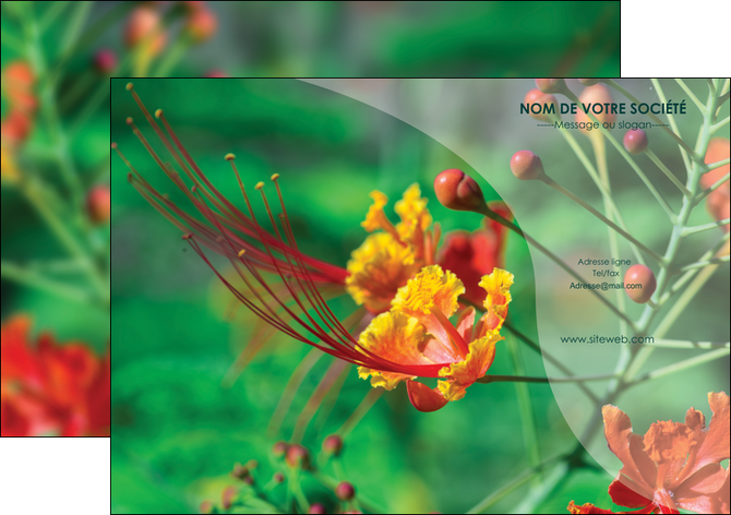 faire flyers fleuriste et jardinage nature colore couleurs MLGI34900