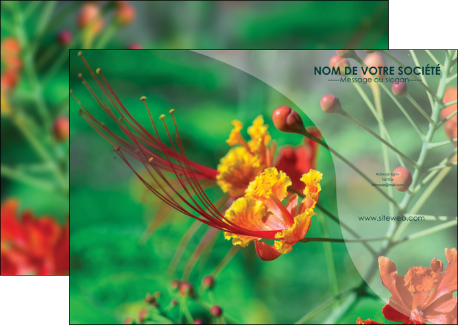 impression flyers fleuriste et jardinage nature colore couleurs MLGI34912