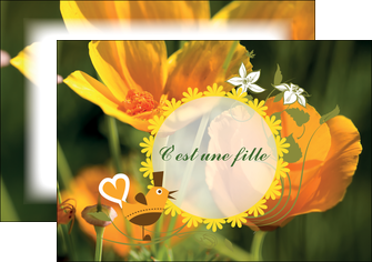 Impression Faire part  Faire Part de naissance papier à prix discount et format Flyer A5 - Paysage (21x14,8 cm)