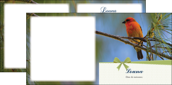 modele depliant 2 volets  4 pages  oiseau nature arbre MIF36344