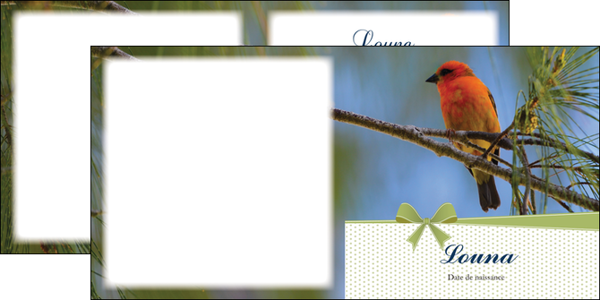 imprimerie depliant 2 volets  4 pages  oiseau nature arbre MIDBE36346