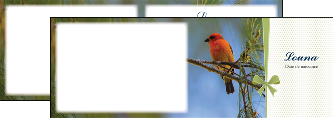 imprimerie depliant 2 volets  4 pages  oiseau nature arbre MIDBE36348