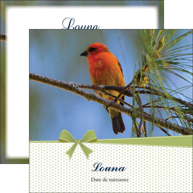 exemple flyers oiseau nature arbre MIDBE36350