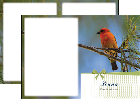 faire depliant 2 volets  4 pages  oiseau nature arbre MIDBE36352