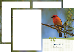 faire depliant 2 volets  4 pages  oiseau nature arbre MIF36352