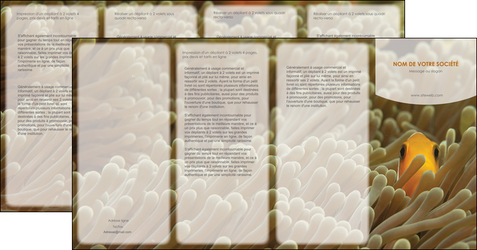 imprimerie depliant 4 volets  8 pages  animal nemo macro original MIDBE36434