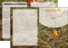 imprimerie depliant 2 volets  4 pages  animal nemo macro original MIDBE36440