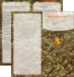 imprimerie depliant 2 volets  4 pages  animal nemo macro original MIDBE36442