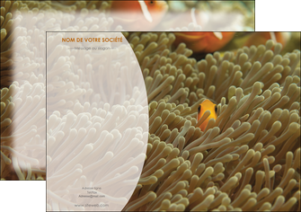 personnaliser modele de affiche animal nemo macro original MIDBE36446