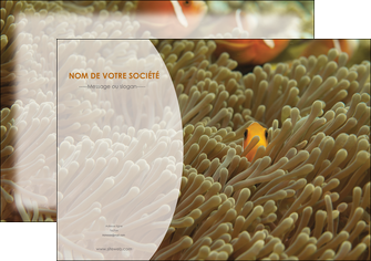 modele affiche animal nemo macro original MIDBE36448