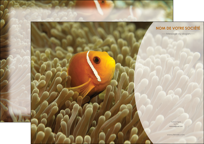 creation graphique en ligne affiche paysage belle photo nemo poisson MIDBE36846