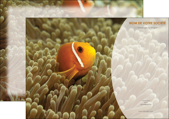 creation graphique en ligne affiche paysage belle photo nemo poisson MIDBE36846