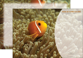 faire modele a imprimer affiche paysage belle photo nemo poisson MIDBE36854