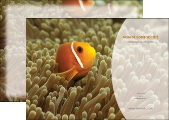 cree flyers paysage belle photo nemo poisson MIDBE36870