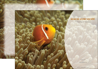 realiser affiche paysage belle photo nemo poisson MIDBE36874
